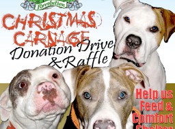 Christmas Carnage Donation Drive for Philly A.C.C.T. Shelter
